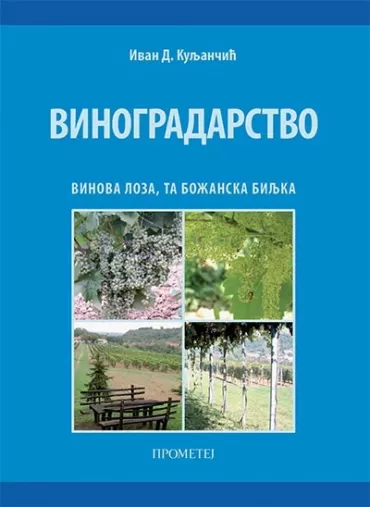 vinogradarstvo vinova loza, ta božanska biljka ivan kuljančić
