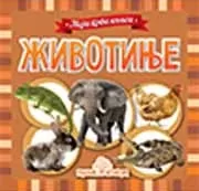 moja prva knjiga životinje jasna ignjatović