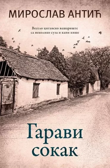 garavi sokak miroslav antić