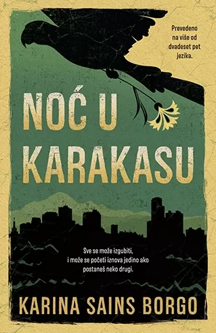 noć u karakasu karina sains borgo