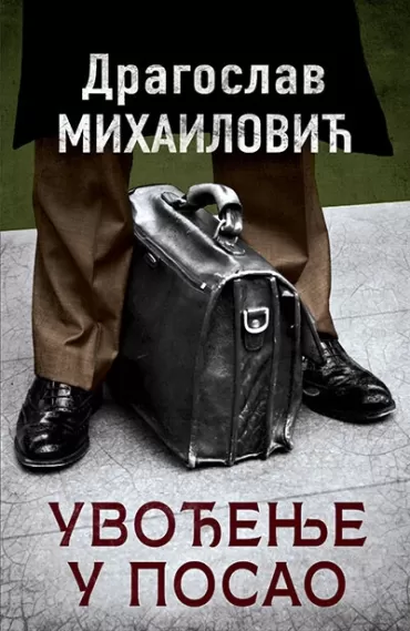 uvođenje u posao dragoslav mihailović