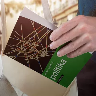 politika andrew heywood