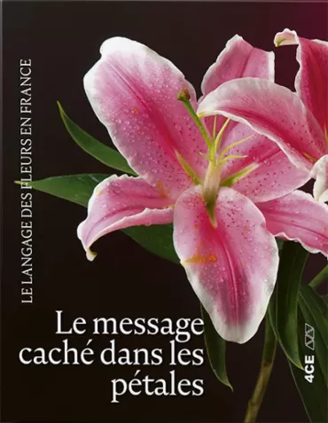 poruka skrivena među laticama le langage des fleurs en france dubravka savić