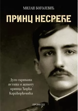 princ nesreće milan bogojević