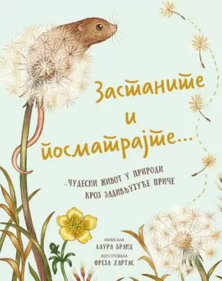 zastanite i posmatrajte čudesni život u prirodi kroz zadivljujuće priče laura brand