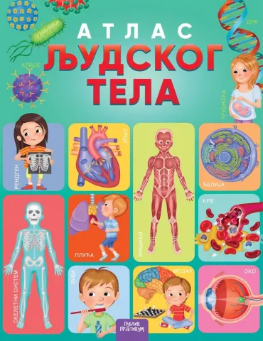 atlas ljudskog tela ilarija barsoti