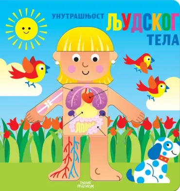 unutrašnjost ljudskog tela hordi buskets